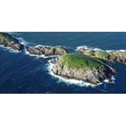 North Solitary Islands Dive Trip